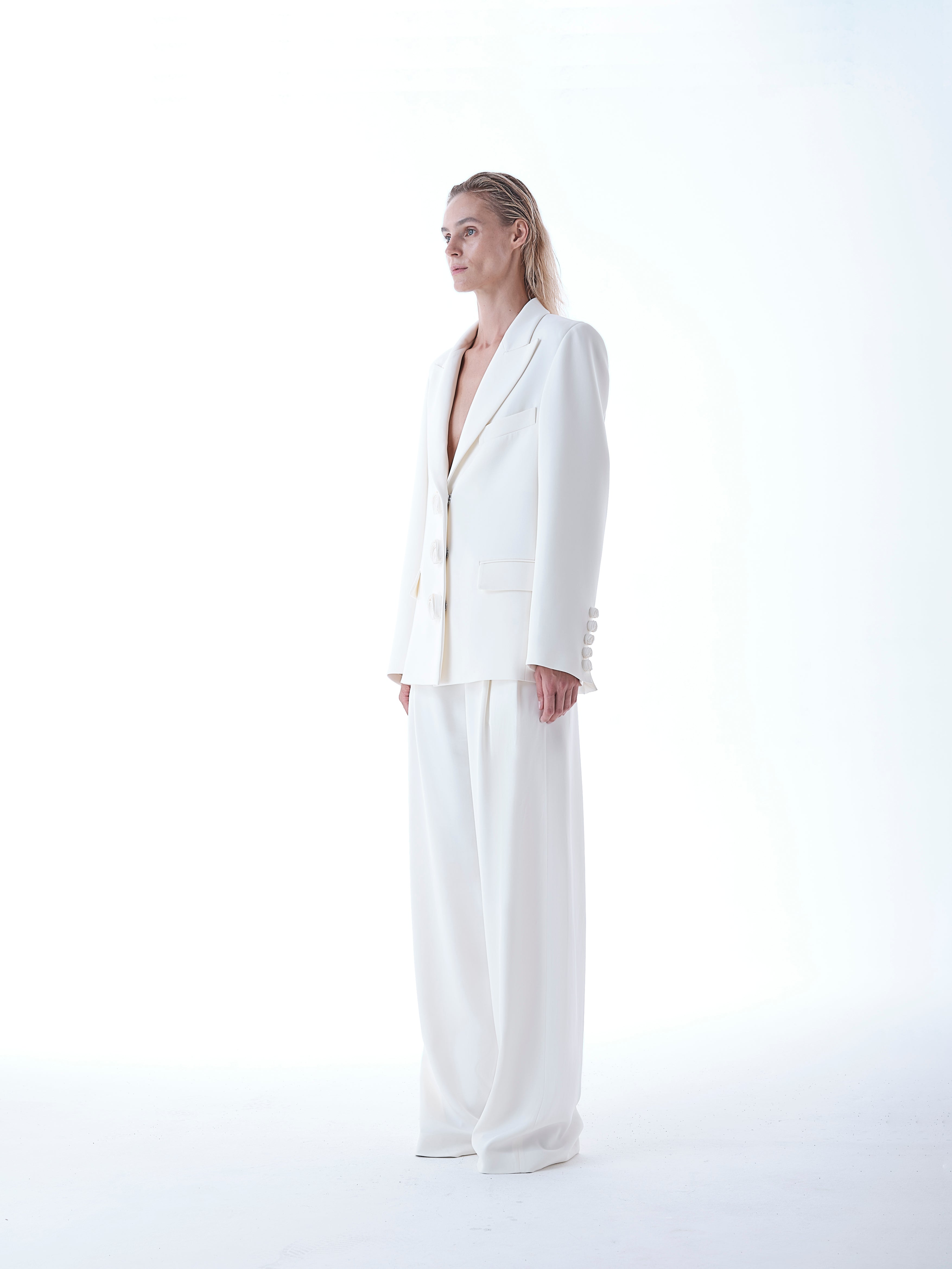 Tailored Blazer and Pants Set