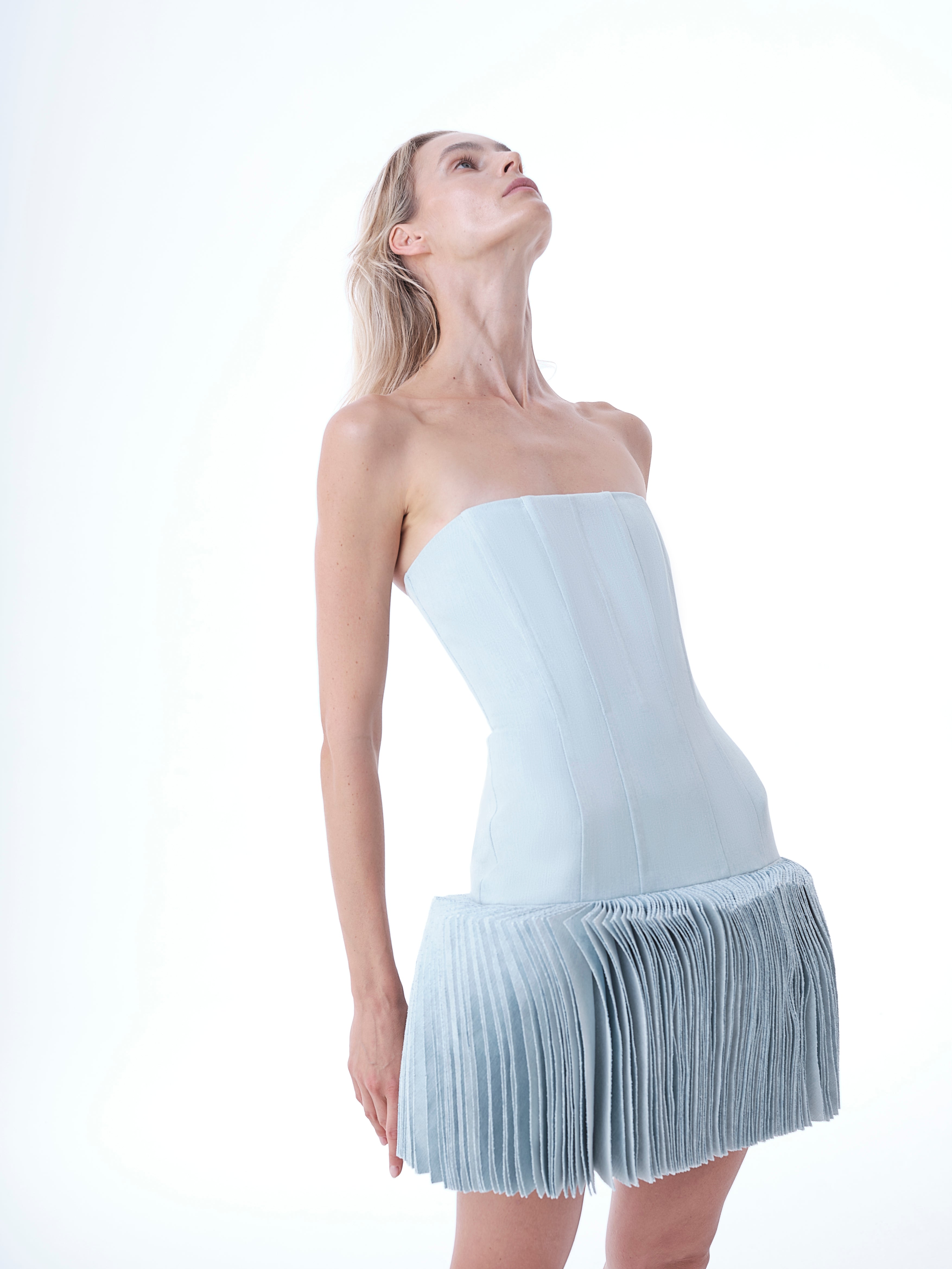 Short Bustier Denim Dress